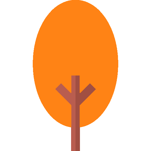 parco-avventura-val-di-vara-percorso-foresta-bambini